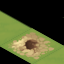../../_images/Heal_Or_Die-tile-hole-Isometric.png